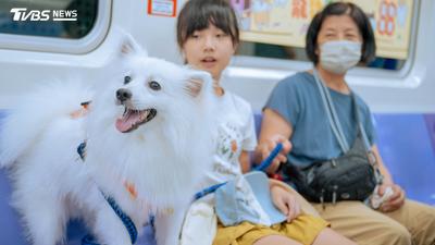 桃園捷運8/2推出寵物友善列車 攜毛孩暢遊展覽與公園