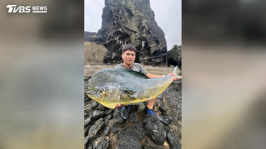 住在蘭嶼的鄭先生過去曾釣到牛港鰺卻拉不動,歷經兩年來每天清晨4點到雙獅岩磯釣,終於成功將大魚拉上岸。(圖/TVBS)