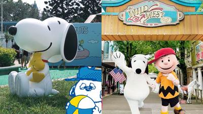 六福村成SNOOPY主題樂園!8月5場見面會 爸爸、壽星免費玩