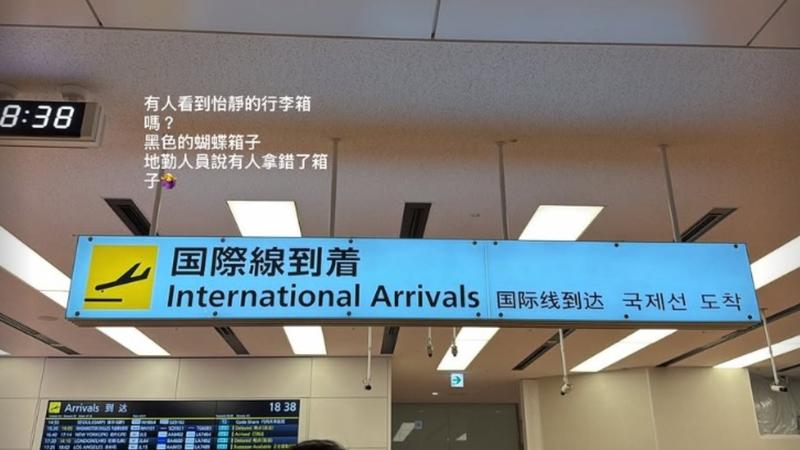 台灣「桌球一姐」鄭怡靜飛日本行李被誤拿!教練急尋:裡面是比賽用具