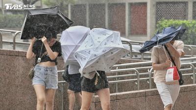 颱風/白海豚陪過父親節!週三起變天甩雨 專家苦喊:別來攪局