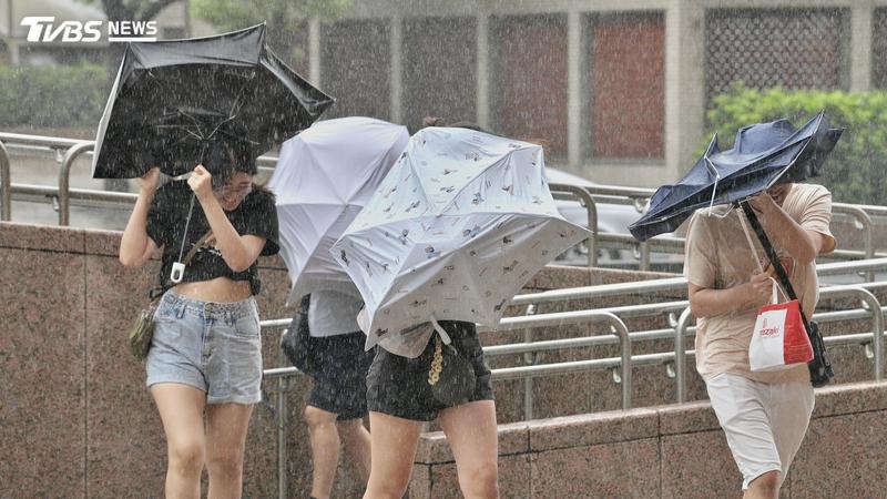 颱風/白海豚陪過父親節!週三起變天甩雨 專家苦喊:別來攪局