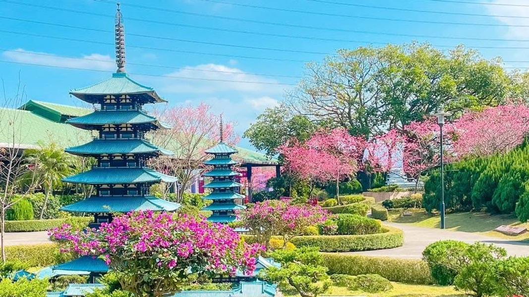 (圖/其他)