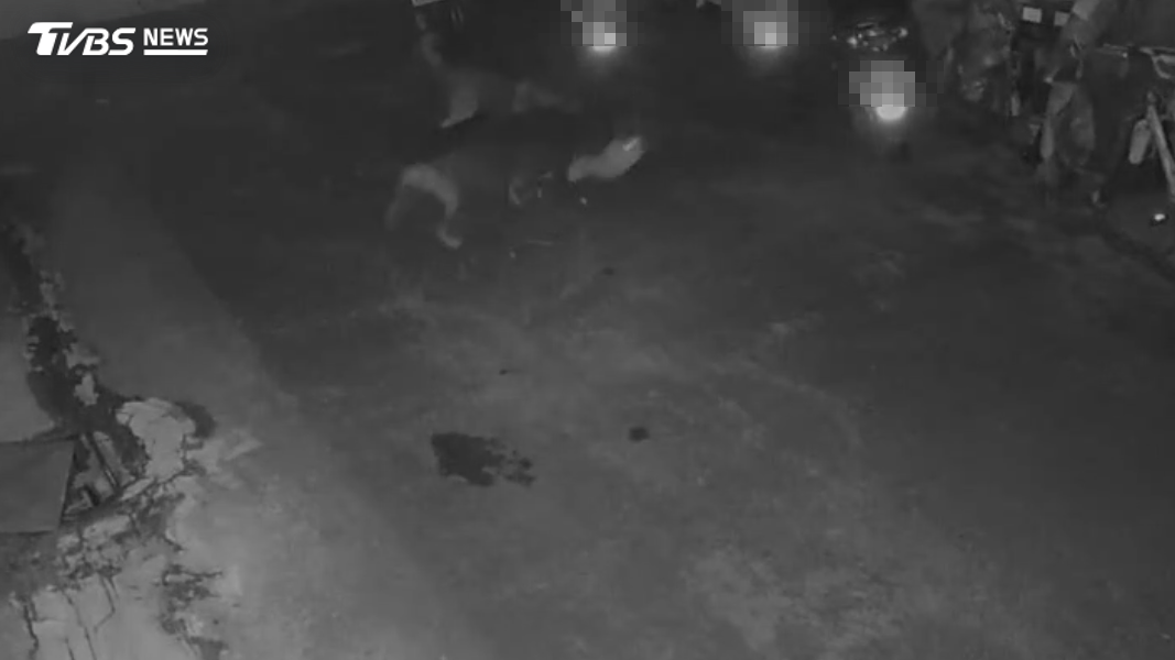 男子放任犬隻撕咬浪貓,殘虐過程全部被監視器拍下。(圖/TVBS)