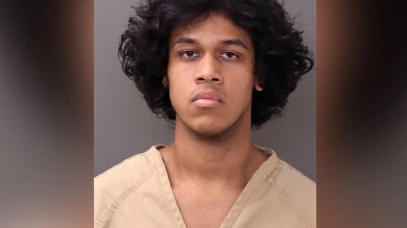 11歲女兒遭性侵!美父冒充她釣嫌犯上門「轟2槍」雙雙被捕