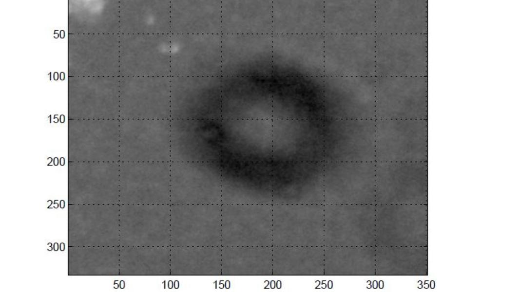 影片擷取畫面顯示,一個呈環狀的不明飛行物(UFO)。(圖/Main Astronomical Observatory)