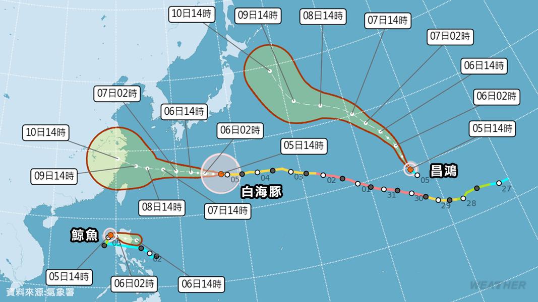 海面三大颱風路徑,白海豚、鯨魚、昌鴻走勢一次看。(圖/中央氣象署)
