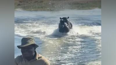 非洲看動物驚魂!巨大河馬「追殺觀光船」 遊客尖叫:這輩子最恐怖