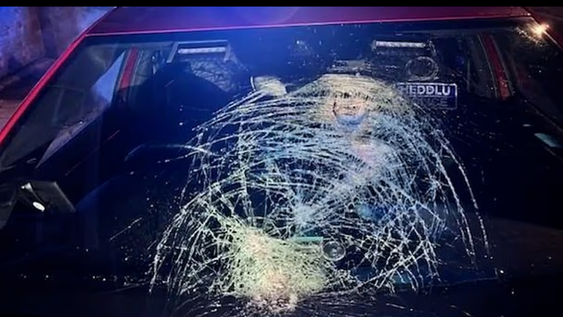 現世報!暴徒海量玻璃瓶砸爆警車「擋風玻璃」 他秒被捕