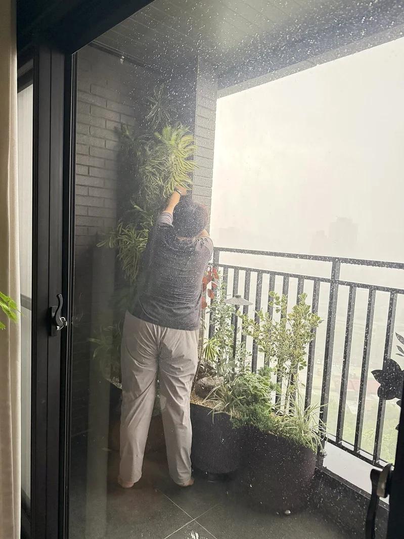擔心陽台盆栽被吹壞,愛莉莎莎請助理到陽台護住它們。(圖/翻攝自threads)