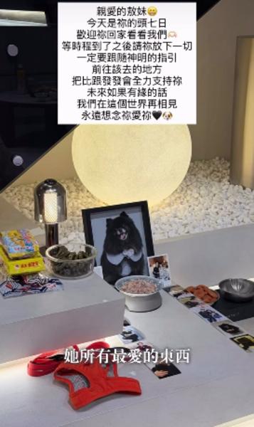 敖犬-敖犬老婆-敖犬發發-發發-敖妹-敖犬敖妹-敖妹頭七-敖妹斑鳩-敖犬愛犬-敖妹離世