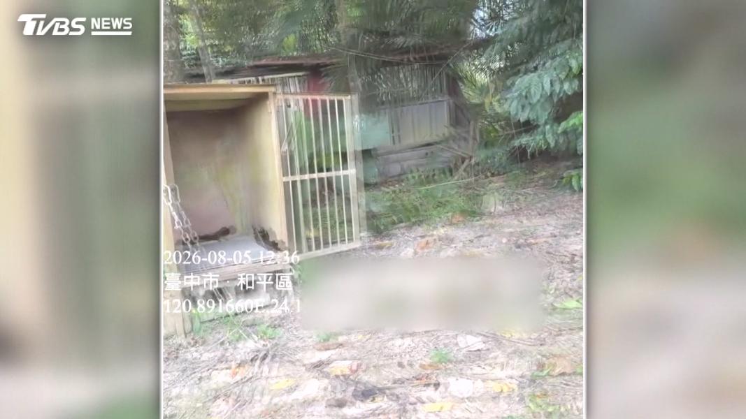 檢舉比特犬繁殖場!愛媽控動保處拖1個月 再訪「狗籠全空了」(圖/TVBS)