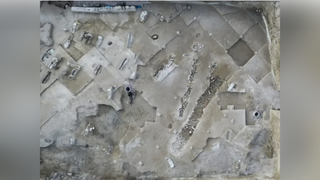 考古人員當時在墓穴中挖出79名成年男性遺骸,他們被整齊地排列成三排。(圖/翻攝自Arkeonews)