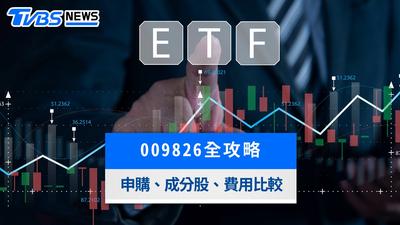 009826台版VT全攻略》成分股、費用率、優缺點與美股VT比較解析