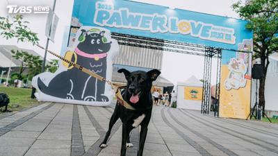 PAWER LOVE 2026 流浪祭 打造「掌心向上」擊掌捐糧裝置
