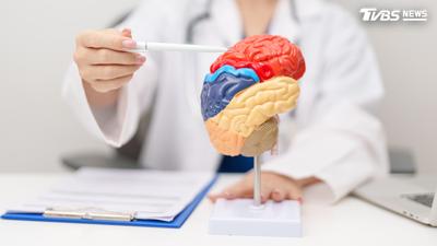 大腦老化不是只能接受!醫曝「4習慣」助逆轉:腦齡可年輕8歲