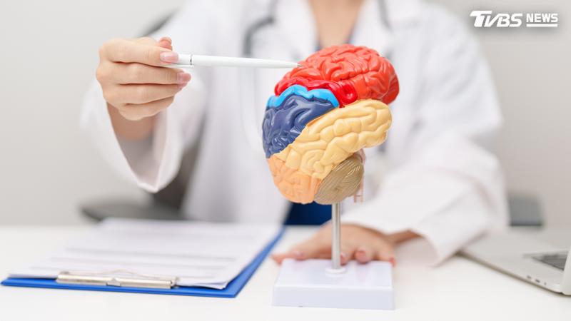大腦老化不是只能接受!醫曝「4習慣」助逆轉:腦齡可年輕8歲