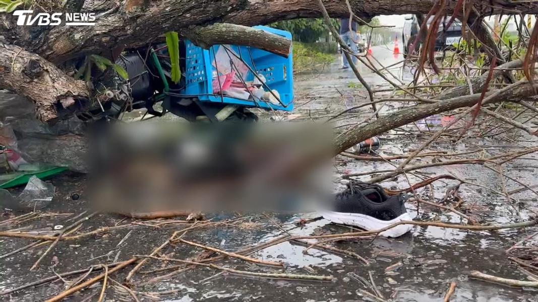 路樹倒塌砸死郵差!83歲母淚訴「1條命才100多萬」痛批沒天良(圖/TVBS)