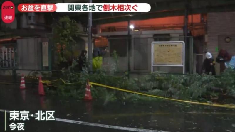 昌鴻颱風掃日本!480戶停電屋頂遭掀 東京表參道7米行道樹斷
