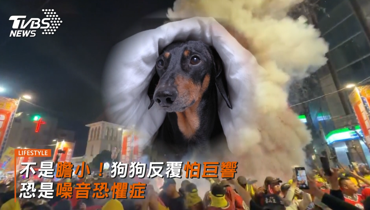 (圖/TVBS)