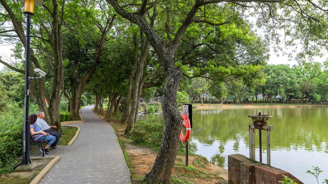 八德埤塘自然生態公園可謂是桃園最具代表性的「都市綠洲」。(圖/翻攝自桃園觀光導覽網)