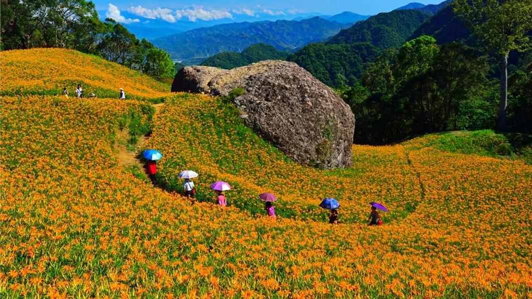在花蓮的赤科山上,除了能看遍滿山縱谷的金針花海,還能走訪「赤科三景」的特色景觀。(圖/翻攝自花東縱谷國家風景區)