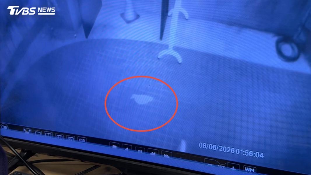 比操場還遠!中興湖鴨「暗夜走650m」躲車底 診所餵芭樂不領情(圖/TVBS)