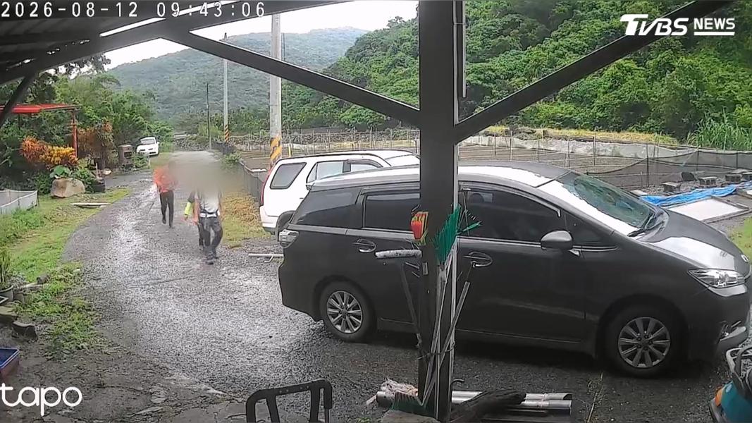 中華健行登山高雄分會3名幹部為16日的大縱走活動提前入山踏勘,途中遭虎頭蜂圍攻。(圖/TVBS)