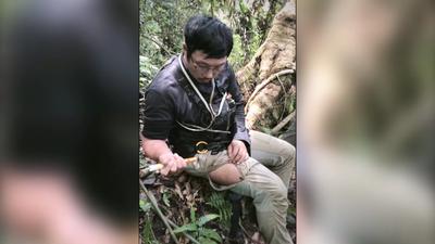 入秋+下雨虎頭蜂變兇! 爬山必備「腎上腺素筆」可保命
