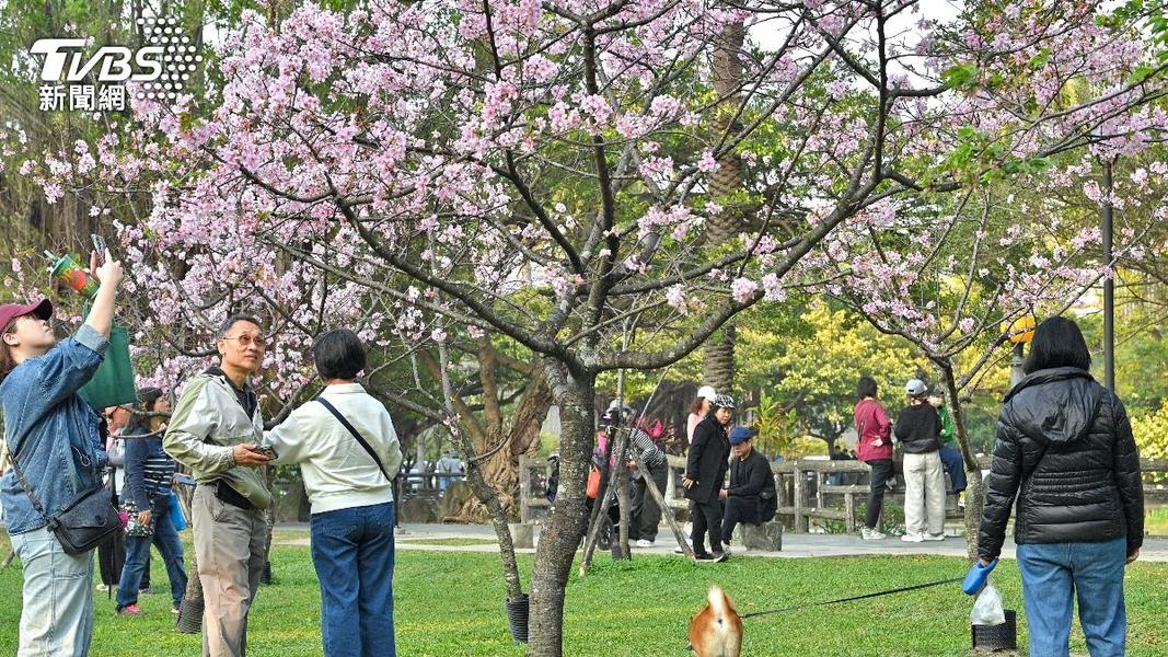 國旅補助來了!5大優惠一次看 住宿每人最高省3200元