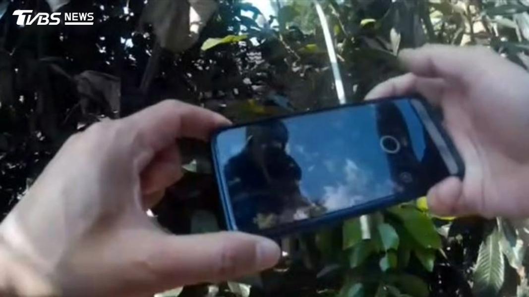 網路賣槍遭鎖定!台中男把槍藏香蕉園 警方南下攻堅