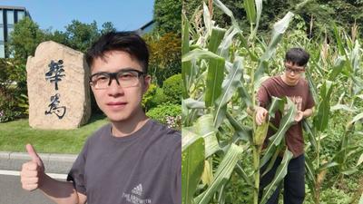 年薪百萬人民幣不要了!華為「天才少年」離職賣玉米 下一站曝光