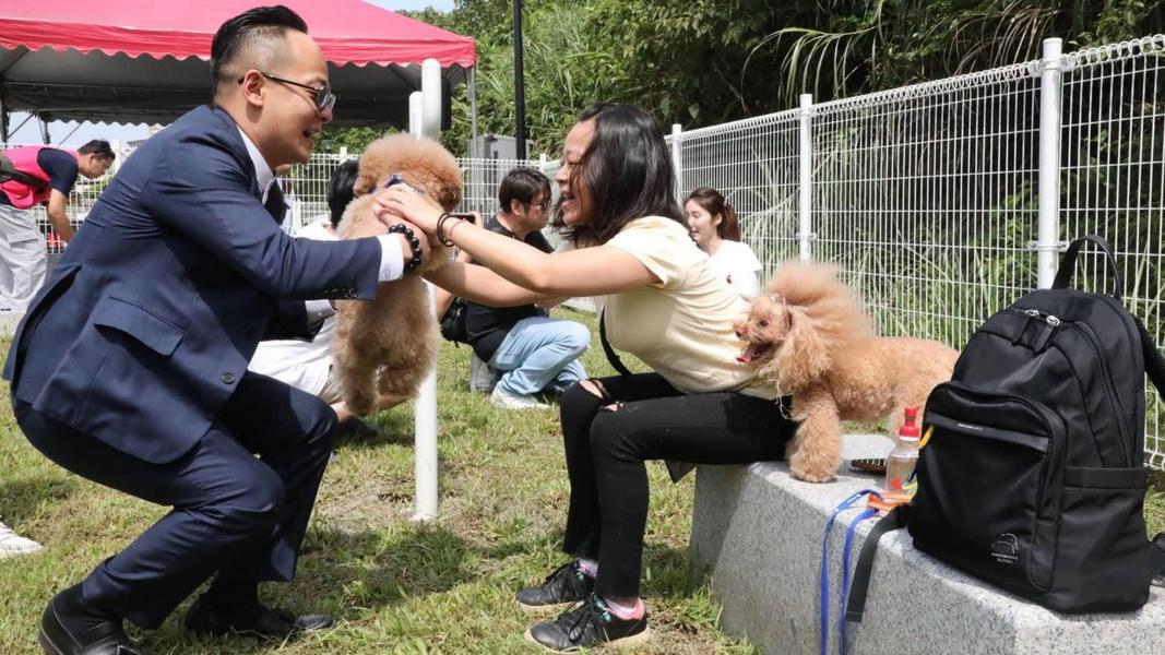搶攻毛孩家庭選票!童子瑋推看診補助、夜間急診要讓飼主「很有感」