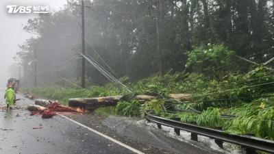 熱帶風暴拉拉襲夏威夷!破20萬戶停電、百棟屋受損 車禍奪一命