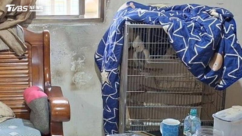 夫妻餵養鸚鵡爆糾紛!她遭保溫瓶砸頭 小姪女護舅媽報警逮人