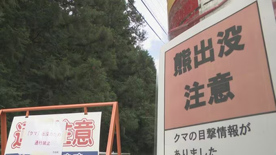 日本頻熊出沒!開車遭1.5米高熊迎面撞 晨跑翁遭熊抓臉濺血