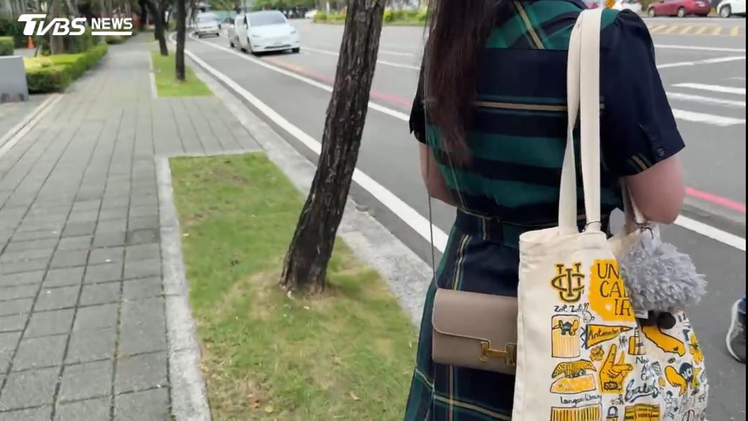 帆布袋為美國加州大學爾灣分校(UCI)與英國藝術家Julia Gash聯名設計。(圖/TVBS)