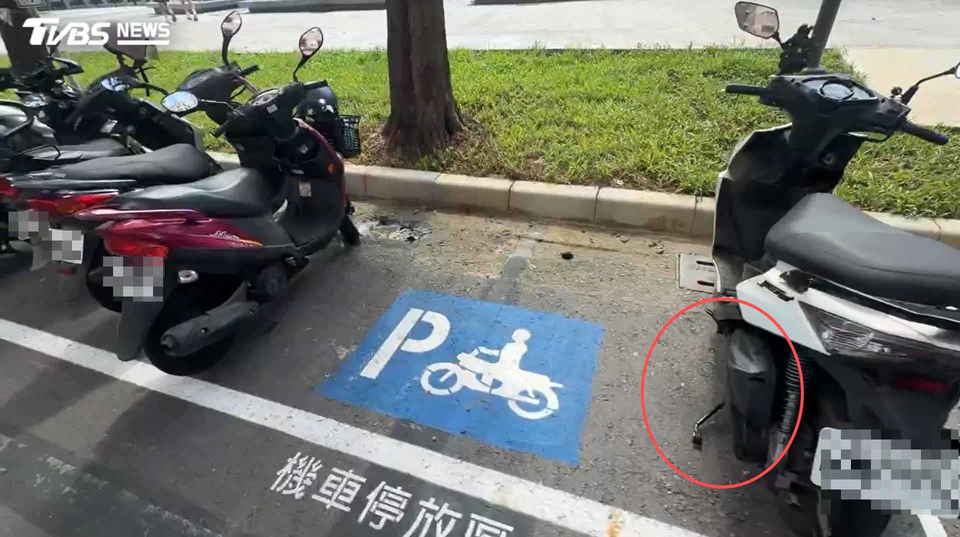 不畫格線更好停？高雄試辦大範圍停車區　民眾反應兩極（圖／TVBS）