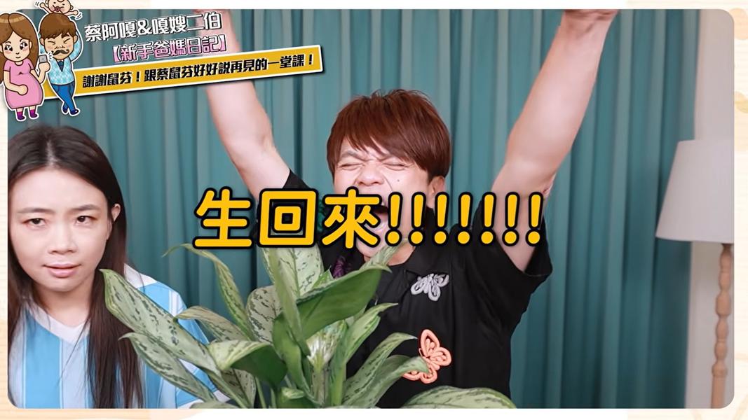(圖/TVBS)