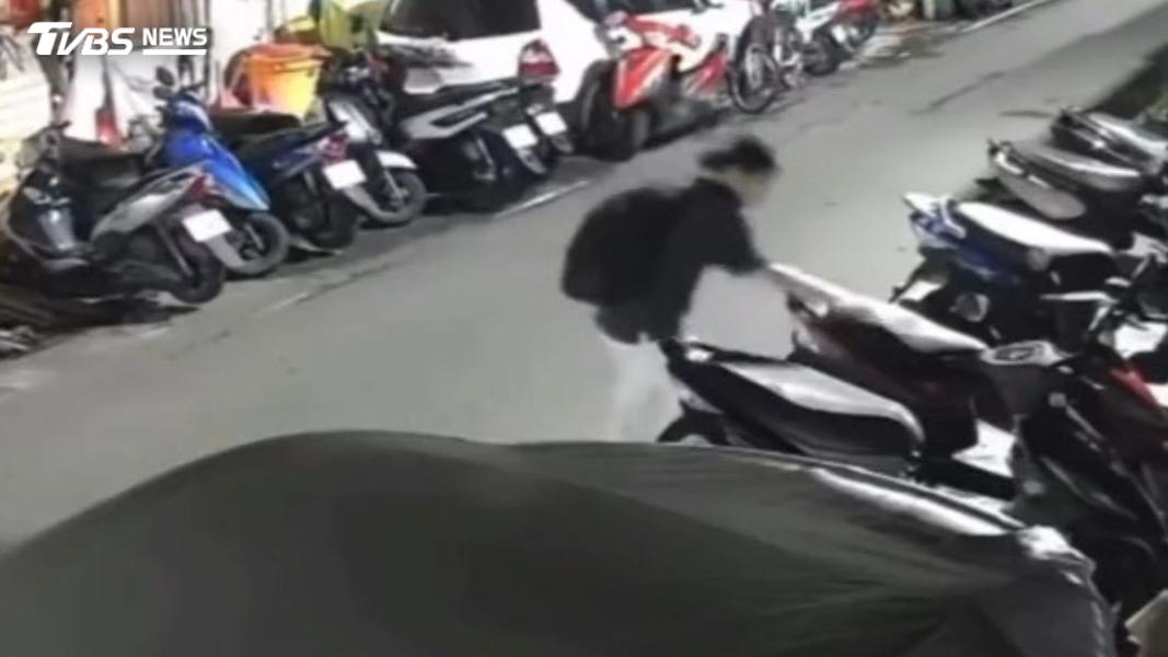 夜持鐵鎚重擊貓!造成「氣胸」 警逮虐貓男