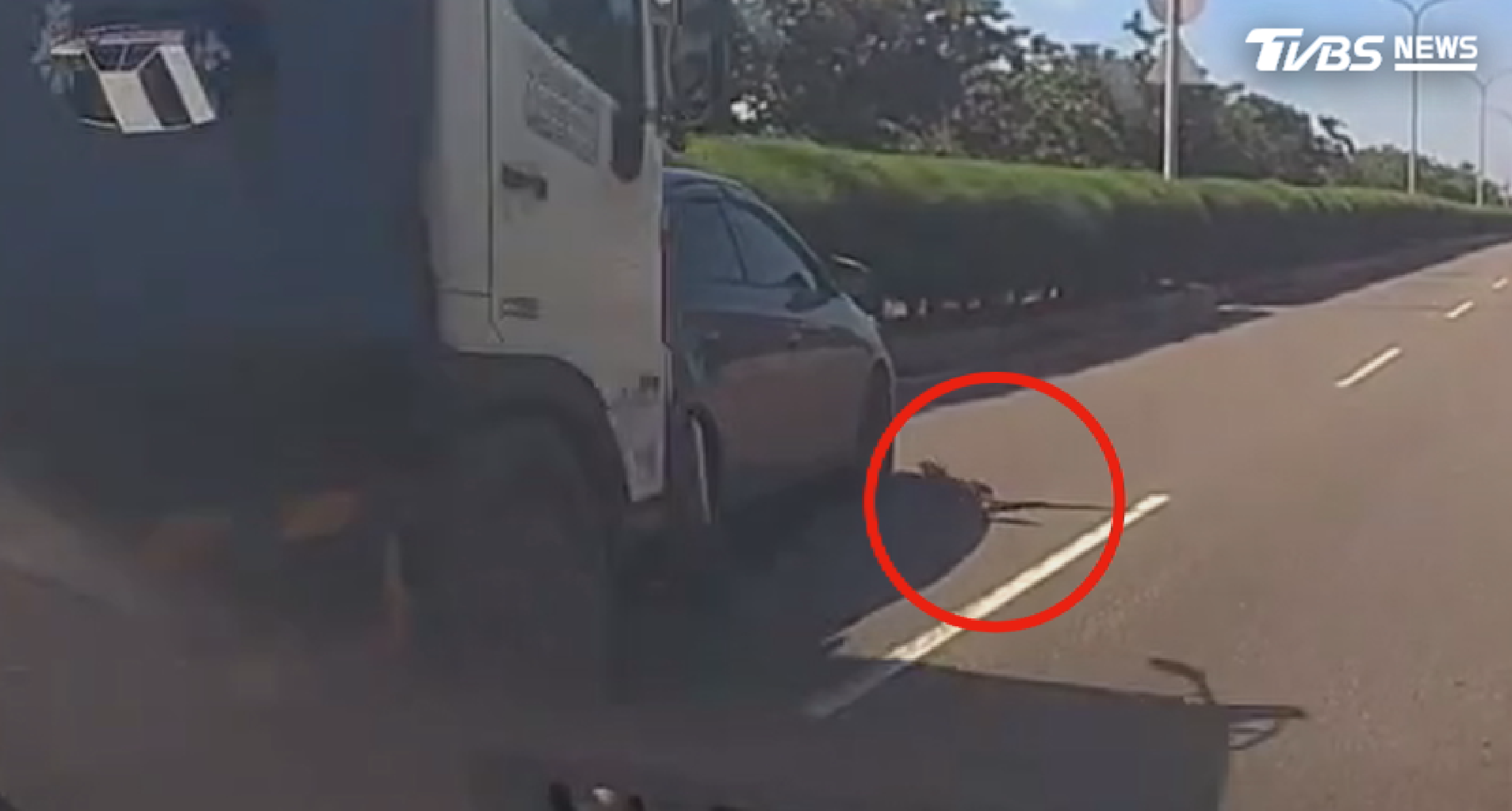 台南七股台17線17日下午發生一起罕見車禍，男子見綠鬣蜥急煞車　遭貨車追撞「夾成餅乾」險喪命（圖／翻攝 threads@johnsonwu0422）
