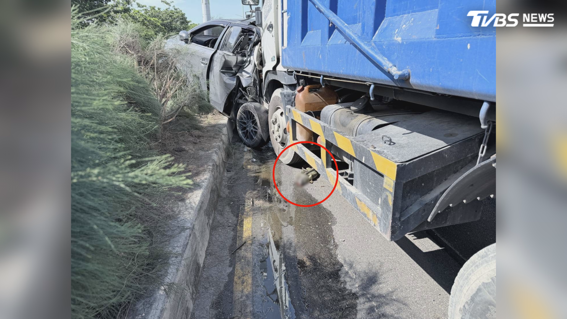 駕駛注意到內側車道有一隻綠鬣蜥，便放慢速度禮讓內側車輛先通過，未料內側車道的休旅車才剛煞停，後方大貨車就直接追尾撞上（圖／TVBS）