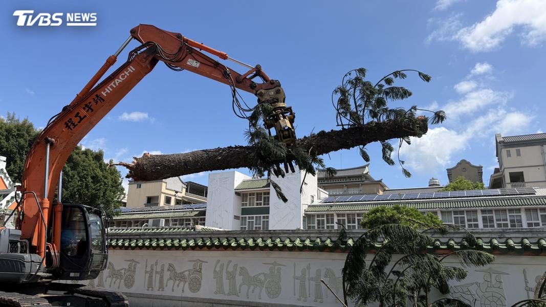 林務所同仁分段切鋸與加速清運。(圖/程子奕攝)