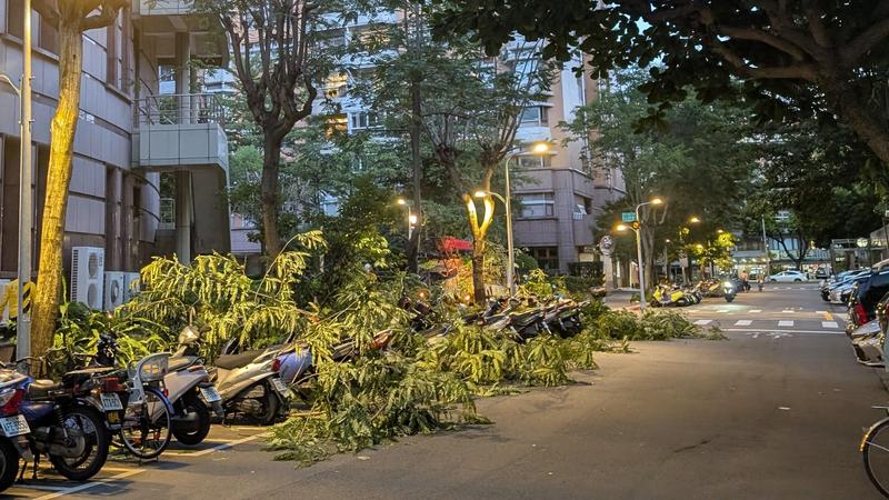 樹枝砸機車如「颱風過境」!修剪無預告 警:未申請可罰2400