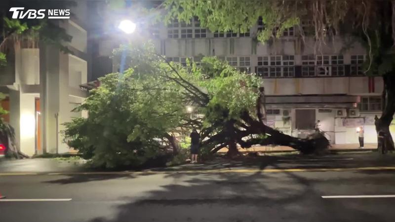 深夜路樹突倒塌!台中2保大員警巡邏遭壓 受傷送醫