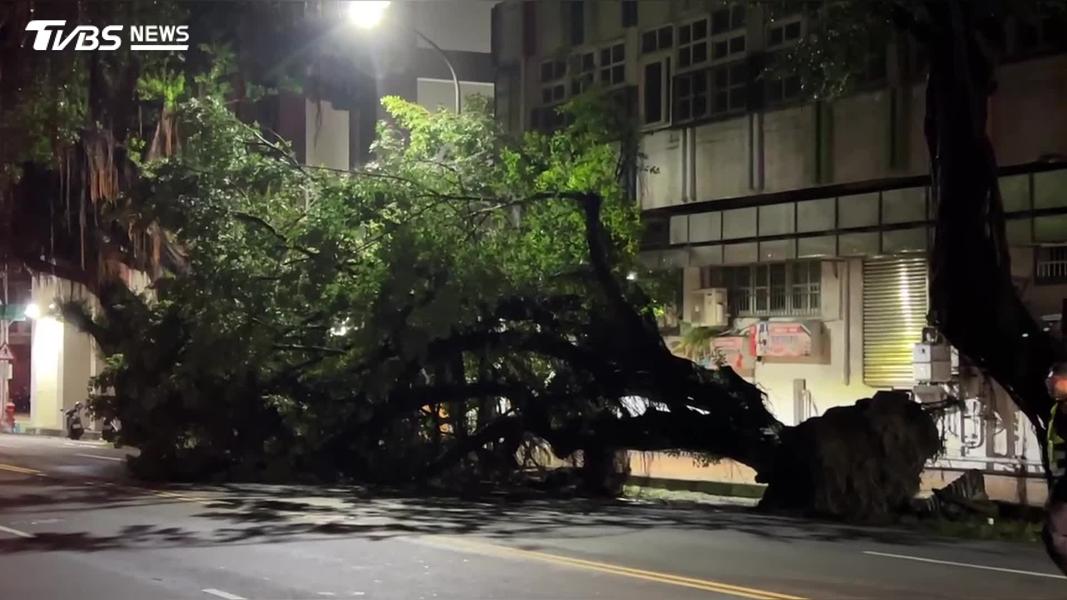 台中路樹倒塌-路樹倒塌-公園路路樹倒塌-台中員警-台中保大-保大員警