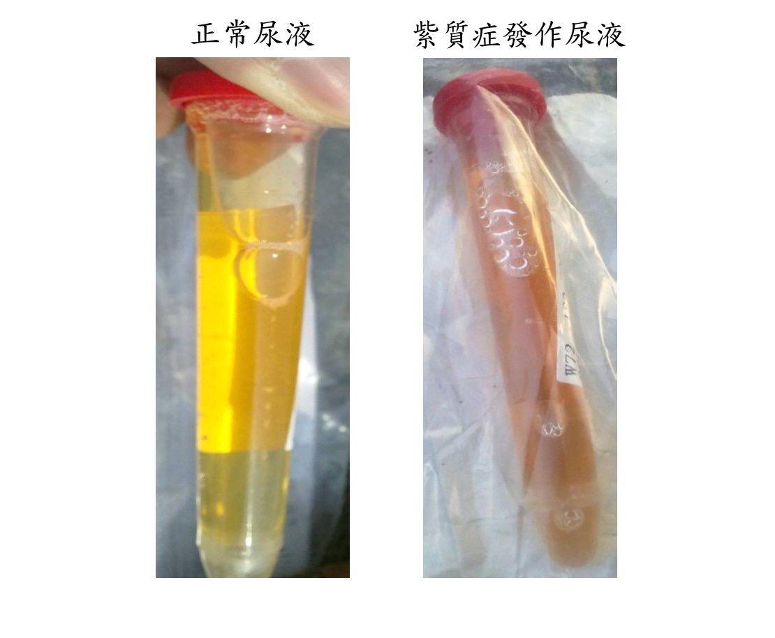 （圖／其他）