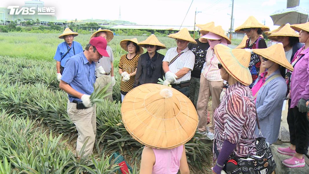 同一時期鄰近的原鄉部落也提供類似的農事體驗活動,內容涵蓋專車接駁、體驗活動及早晚餐,每人費用僅需3000多元。(圖/TVBS資料畫面)