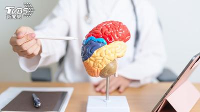 超過50歲大腦開始萎縮?營養師:做好這3件事活化海馬迴
