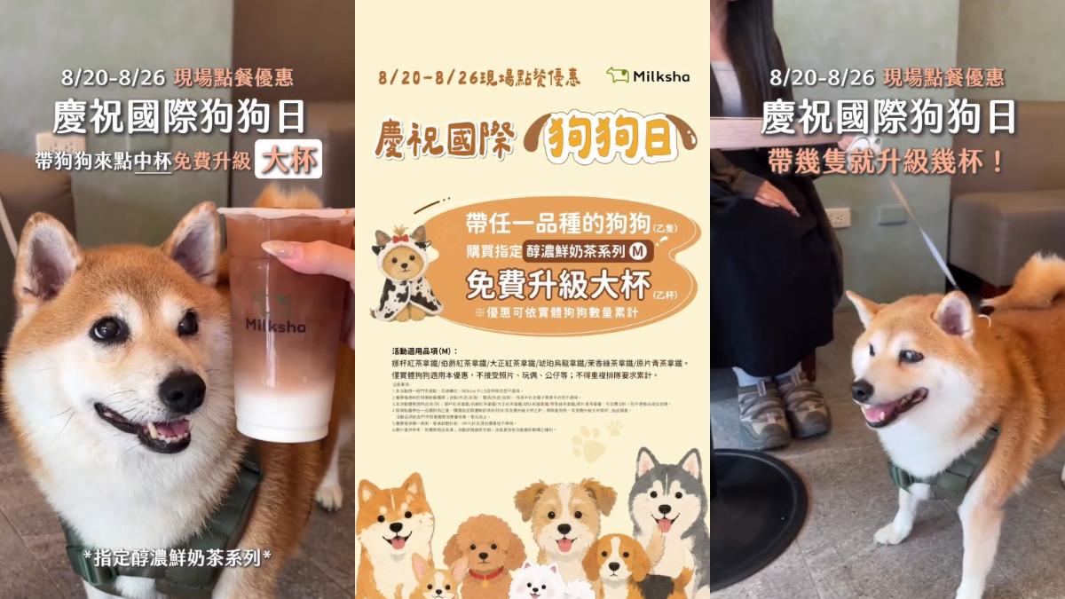 為歡慶「國際狗狗日」,迷客夏把LOGO換成「約克夏」,更推出帶狗狗到門市就能享有買限定飲品免費升級大杯的限時優惠。(圖/翻攝自IG@milksha_tw)